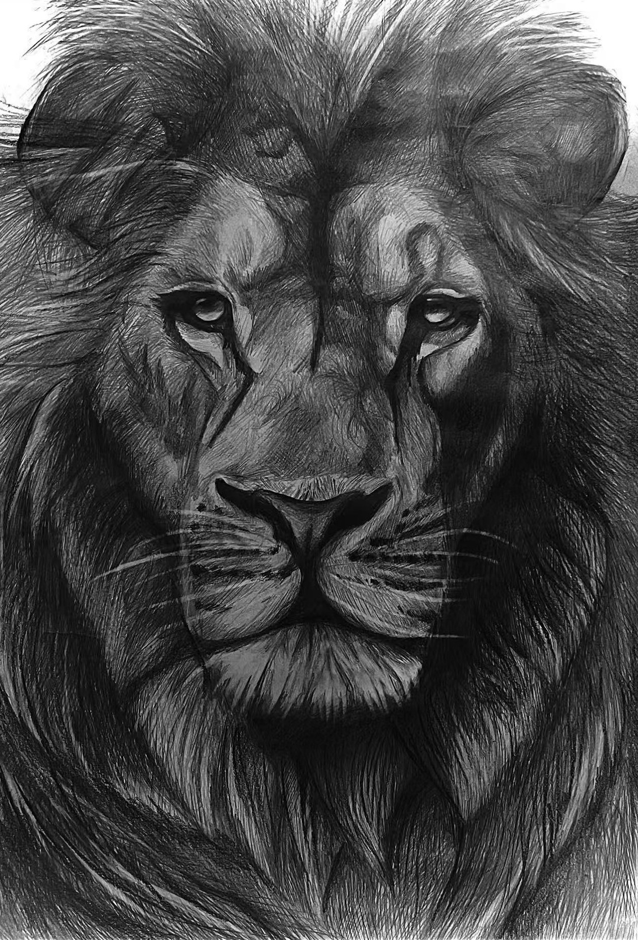 Majestic Gaze - BZ010