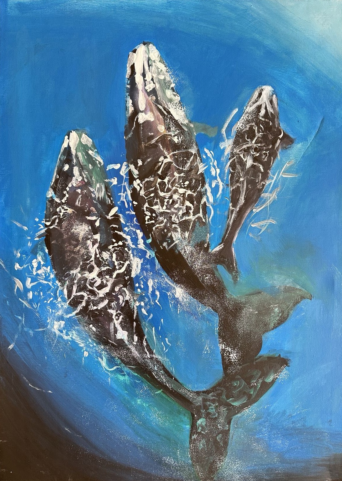 Ocean Kinship - BZ009