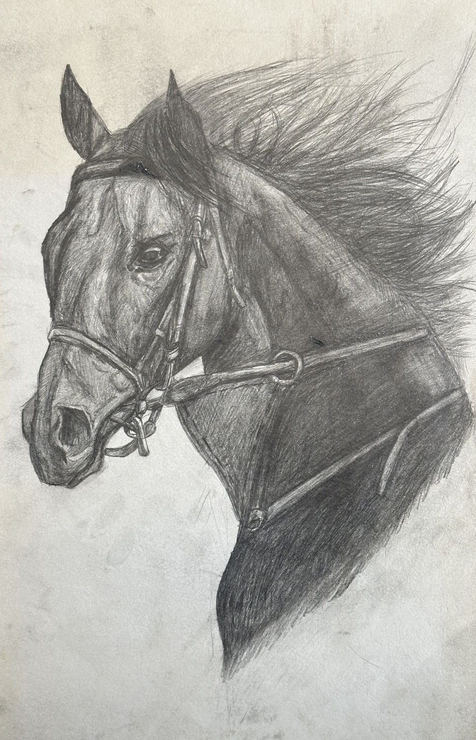 Wind and Reins - BZ003